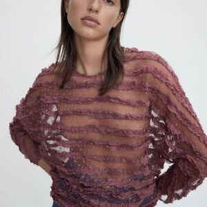 Zara Dusty Pink Sheer Ruffled Blouse